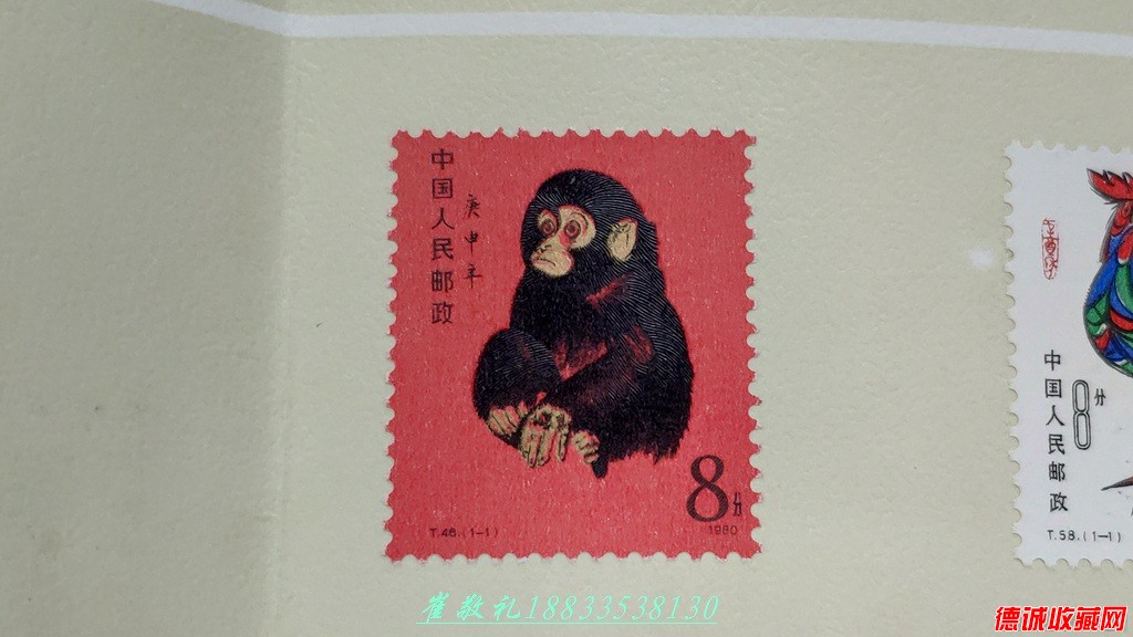 猴 (2).jpg