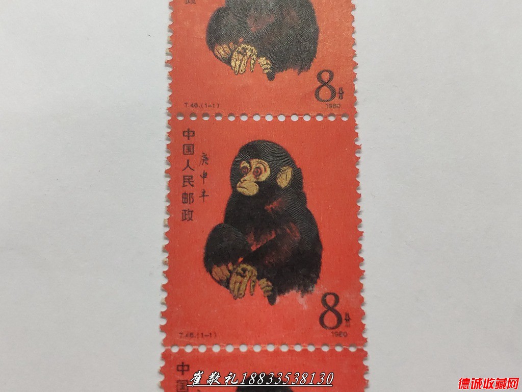猴 (10).jpg