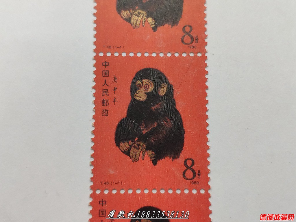猴 (12).jpg