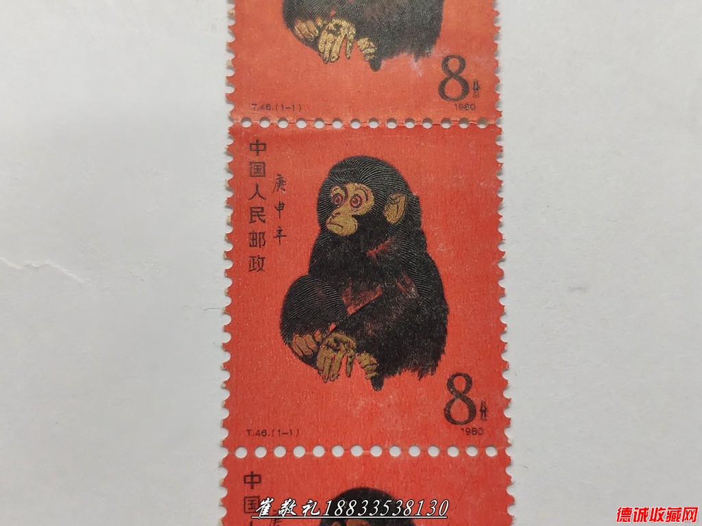 猴 (11).jpg