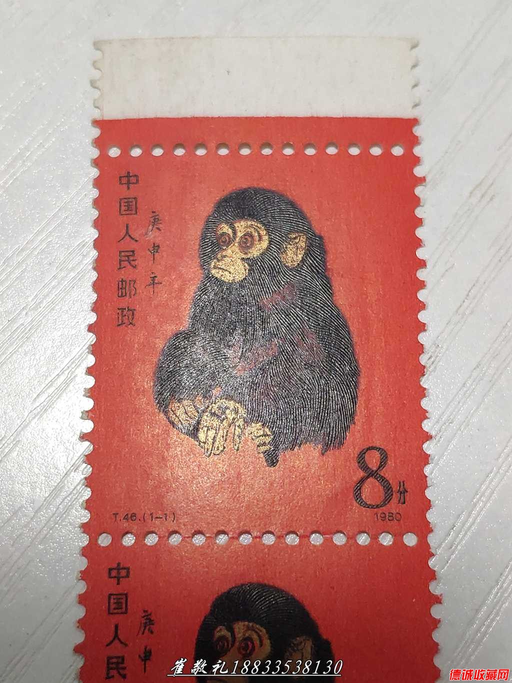 猴 (5).jpg
