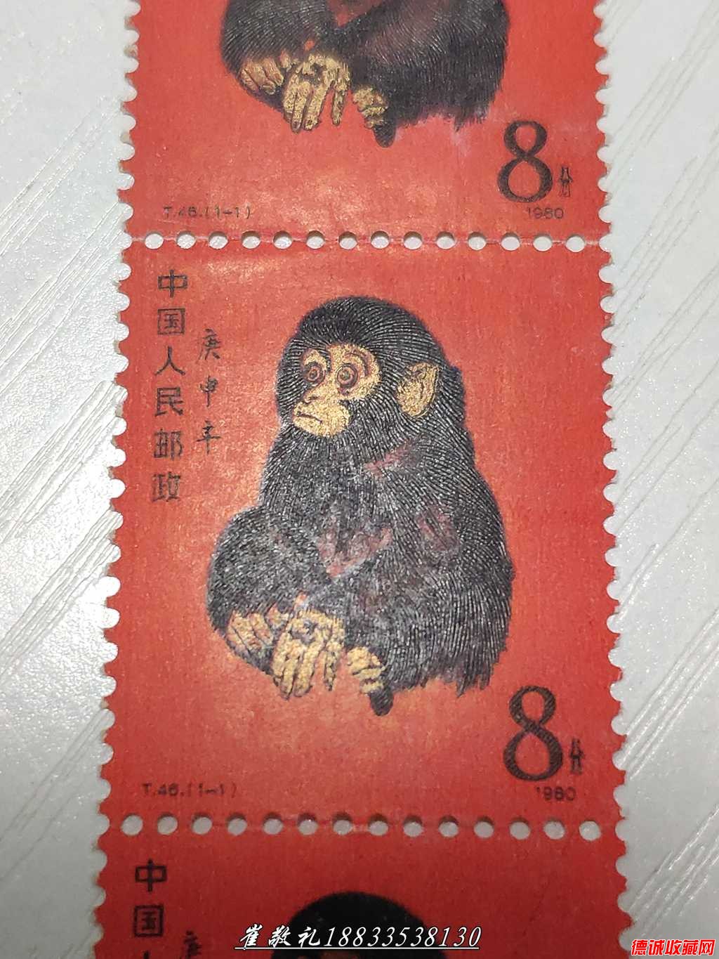 猴 (7).jpg