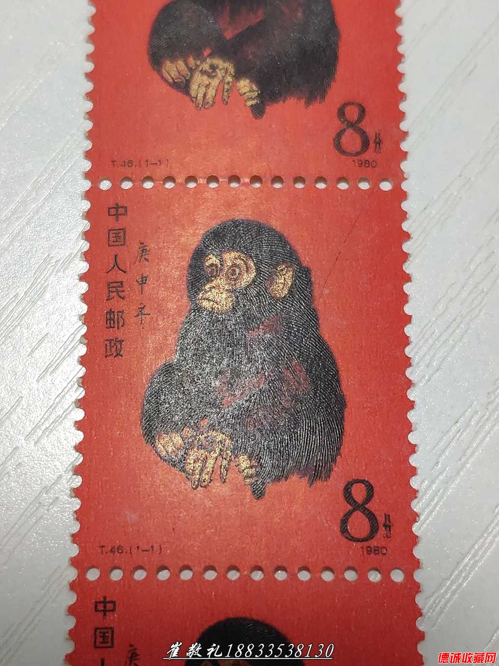 猴 (8).jpg