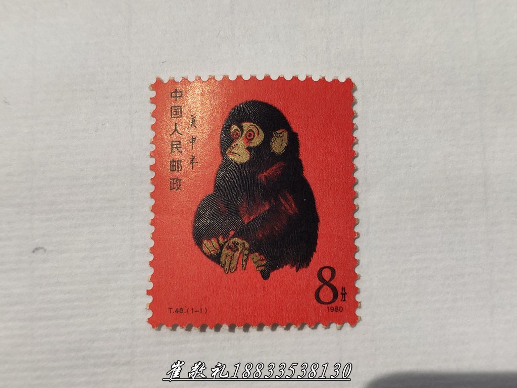 猴 (1).jpg
